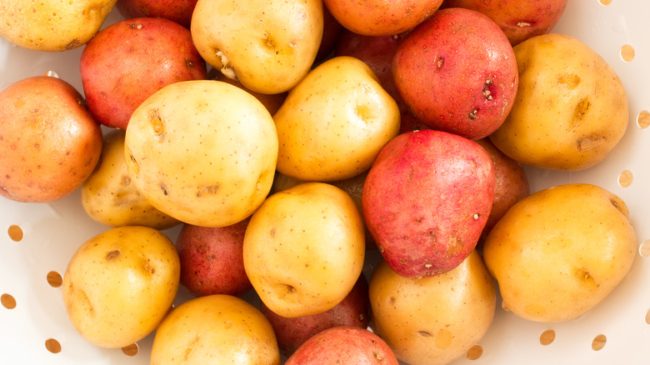 ما هي فوائد كلٍّ من البطاطس البيضاء والحمراء وما الفرق بينهما؟