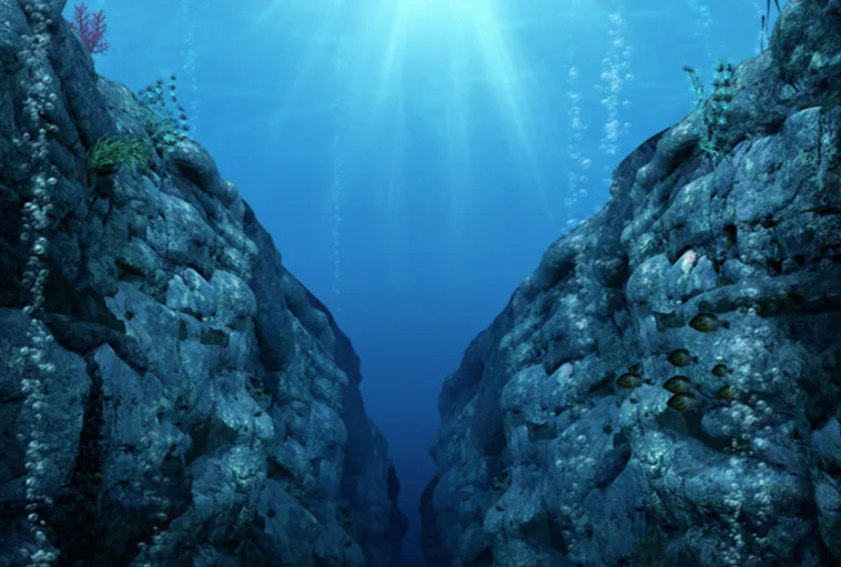 حقائق علمية عن البحار