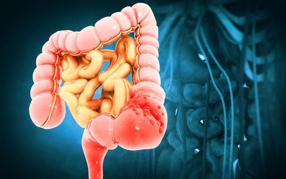  القولون| shutterstock