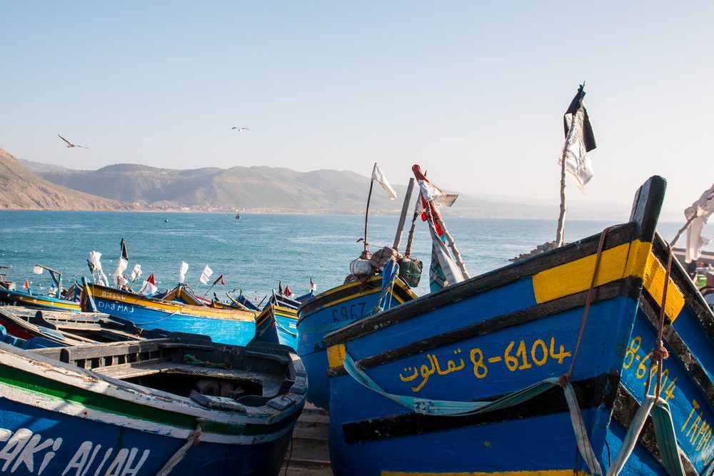 قوارب الصيد من الميناء | shutterstock