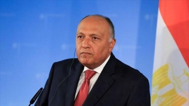 الخارجية المصرية تلغي لقاءً مع ممثلي قافلة مساعدات إنسانية إلى غزة.. موقع مصري: السلطات أبلغتهم بسفر المسؤول 