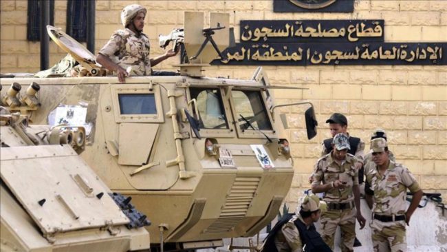 غزة ليست الأولى.. هكذا كنا نُجوَّع في سجون السيسي