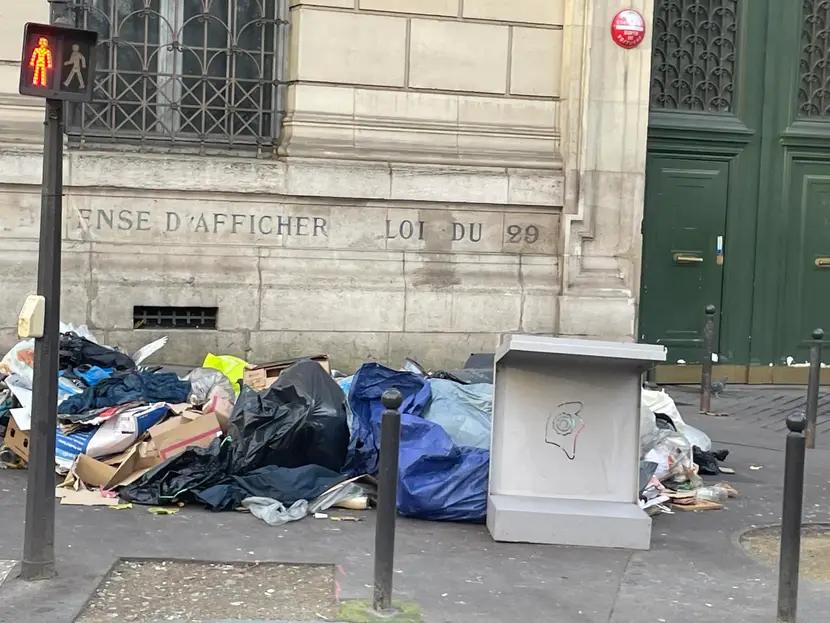 جرذان باريس