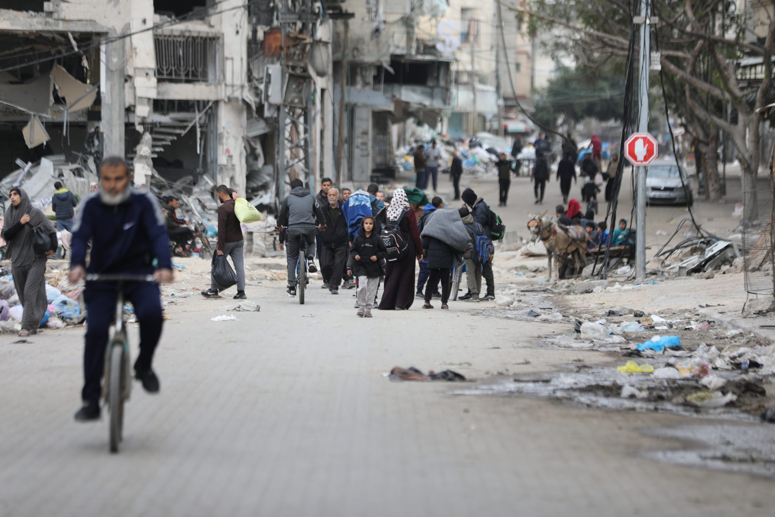 محيط مجمع الشفاء