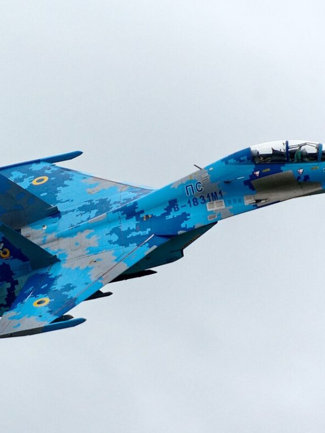 سوخوي 27 ويكيميديا