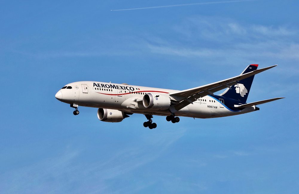 Shutter Stock/ طفل يولد على متن الطائرة أثناء رحلة جوية