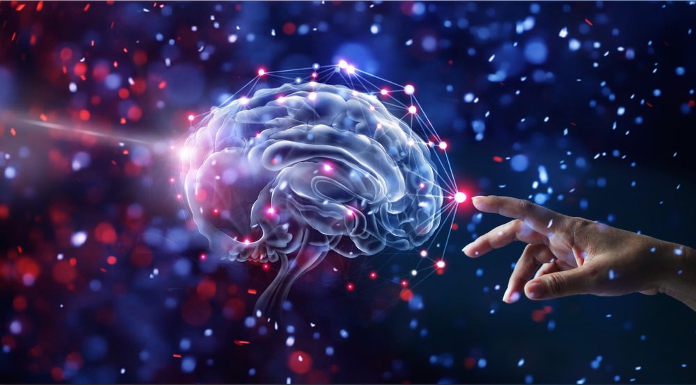 اكتشافات عن الدماغ | shutterstock