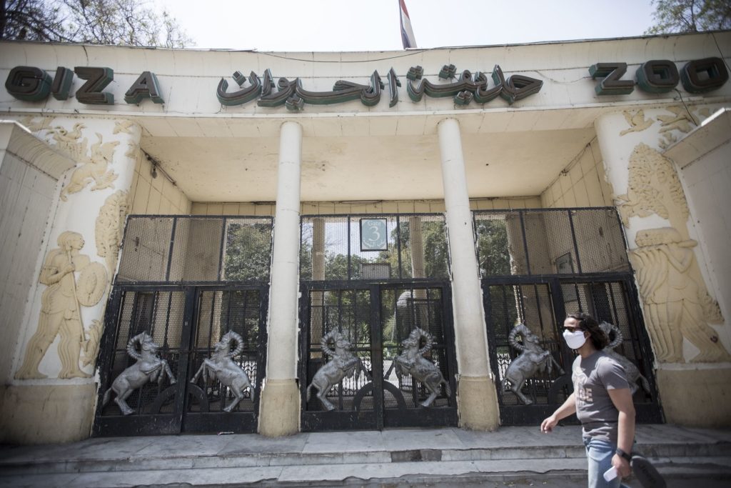 حديقة الحيوانات الجيزة مصر