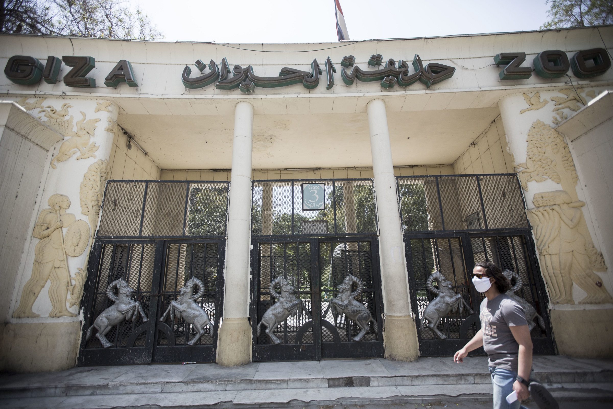 حديقة الحيوانات الجيزة مصر