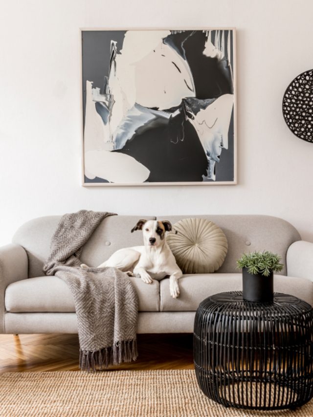 تنظيف الكنب