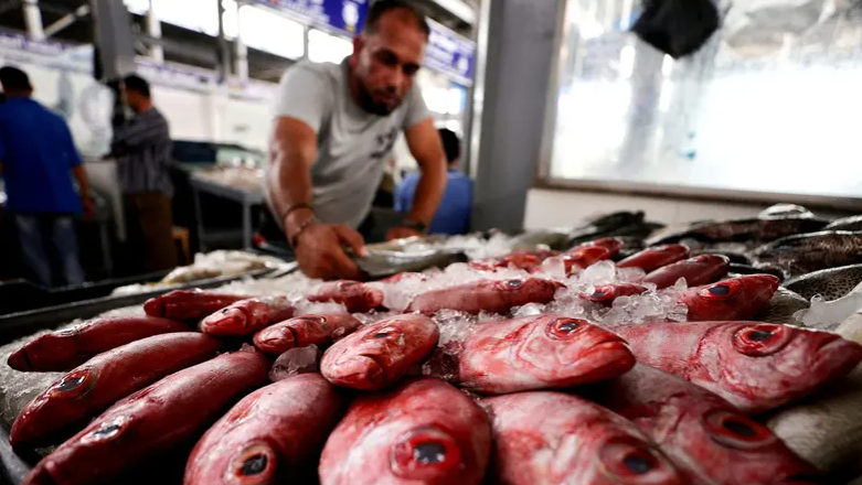 أسباب ارتفاع الأسماك بمصر