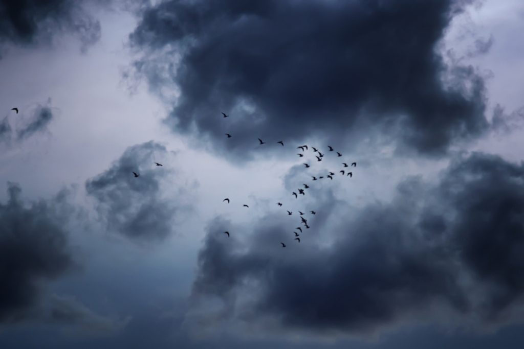 لماذا خلق الله الشر