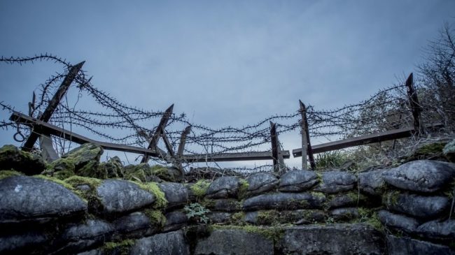 رواية “لمن تقرع الأجراس”.. كيف يجعلنا الأدب أكثر تضامناً وإنسانية؟