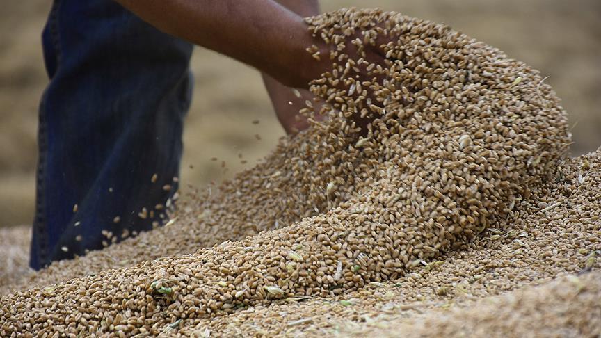 سعر رغيف الخبز المدعم