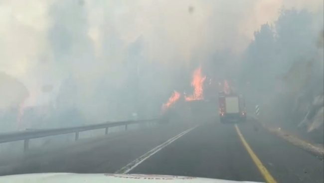 الحرائق الناجمة عن صواريخ لبنان تلتهم آلاف الدونمات لدى الاحتلال.. أسفرت عن إصابة 16 شخصاً بينهم جنود