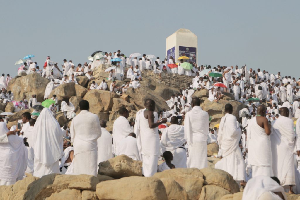 عرفة والحج