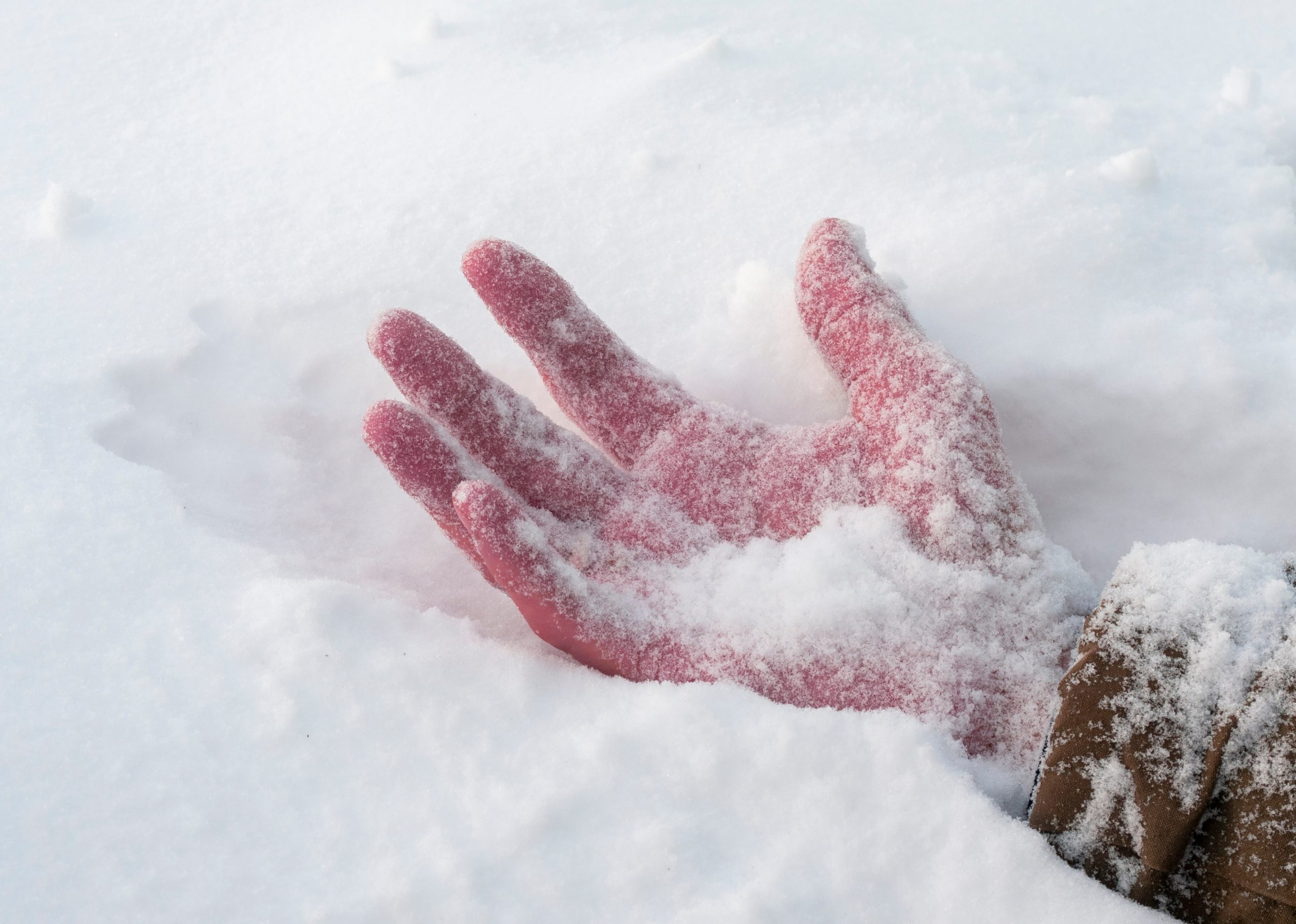 الموت من البرد