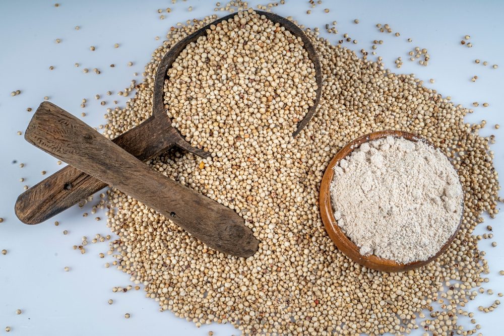 بذور الذرة الرفيعة| shutterstock