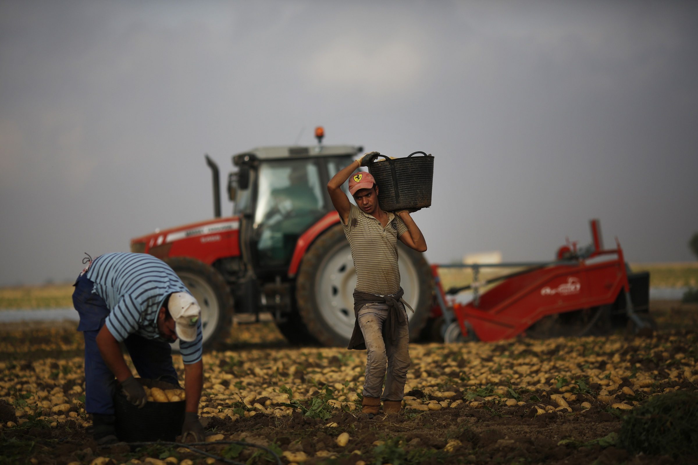 العمال الموسميين المغاربة في إسبانيا
