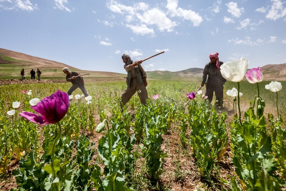 هل تنجح أفغانستان في الانفتاح على العالم؟