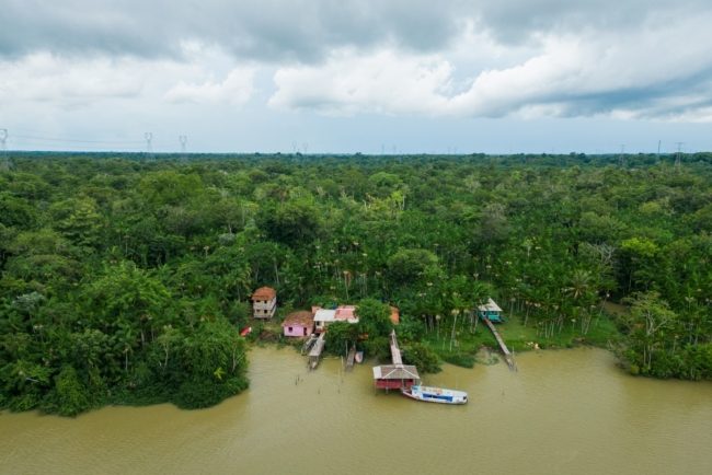 انعزلوا عن العالم بعد تعرضهم لاعتداءات بشعة.. قبيلة ماشكو بيرو التي ظهرت من جديد بسبب قطع الأشجار في الأمازون 