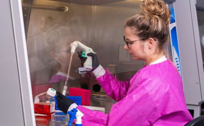 نظام زراعة الخلايا السرطانية المُستوحى من أوراق اللوتس.. دراسة جديدة في فهم وعلاج مرض السرطان