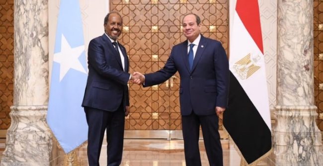 القاهرة أعلنت عنه مبكراً لقطع الطريق على إثيوبيا.. كواليس وتفاصيل الشراكة الدبلوماسية بين مصر والصومال