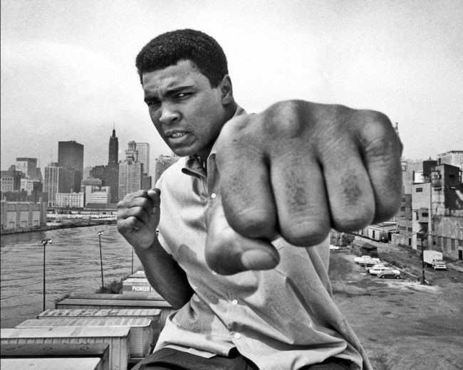 يتقدمهم محمد علي كلاي وأحدهم اعتزل ولم يخسر أبداً.. أعظم 10 ملاكمين من الوزن الثقيل في التاريخ