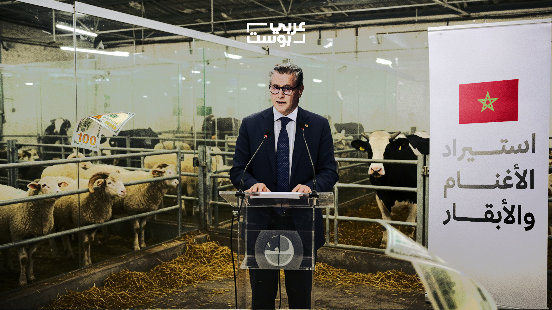 دعم الأبقار والأغنام في المغرب