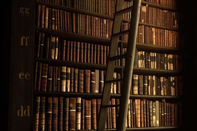 ليس كُل منتصر هو من يكتب التاريخ: من عزل محمد نجيب إلى حرب فيتنام.. تلك الكتب تخبرك عكس ما اعتدنا أن نتصور