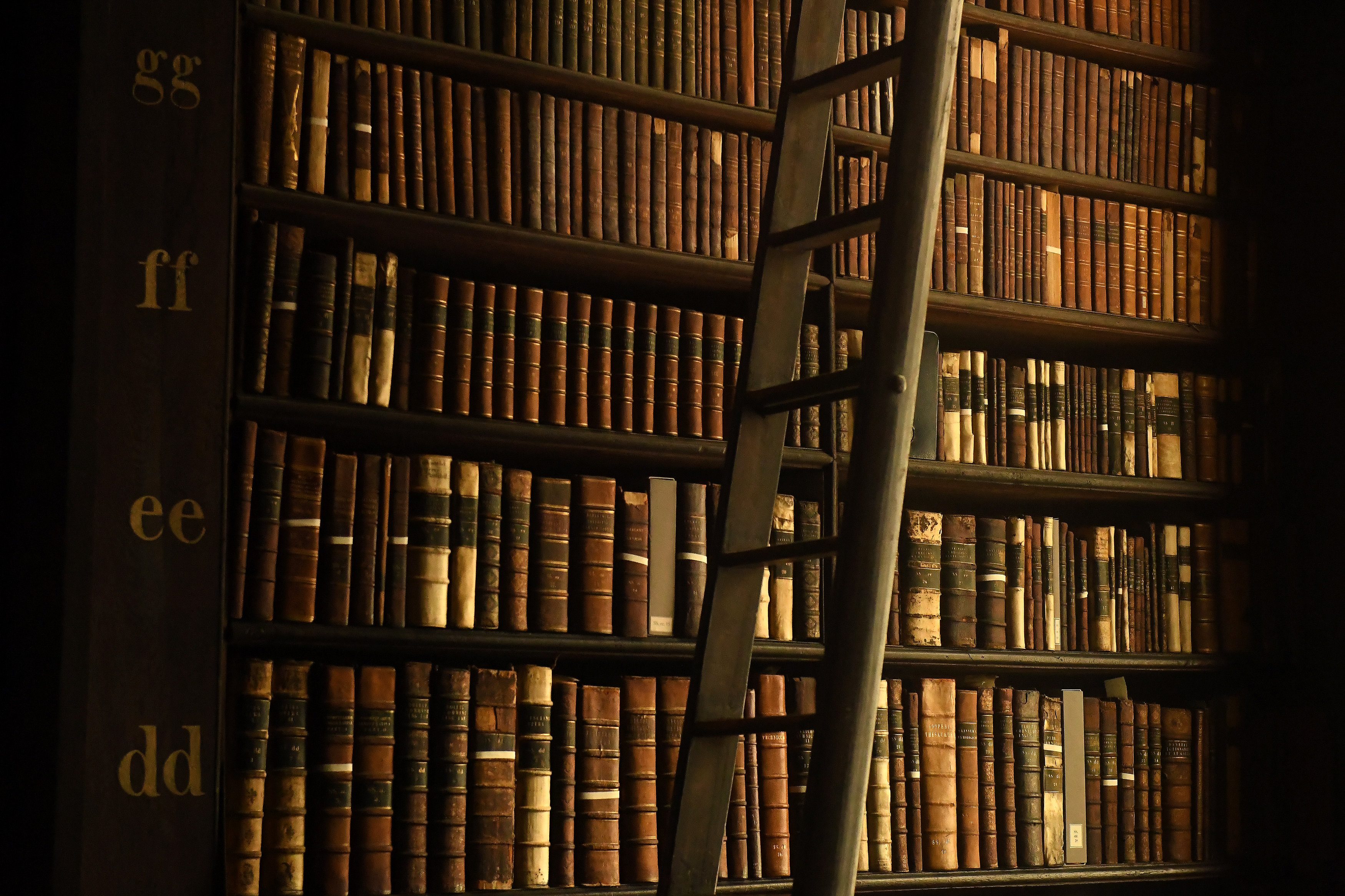 للخاسرين أيضا مساهمات في كتابة التاريخ (رويترز)